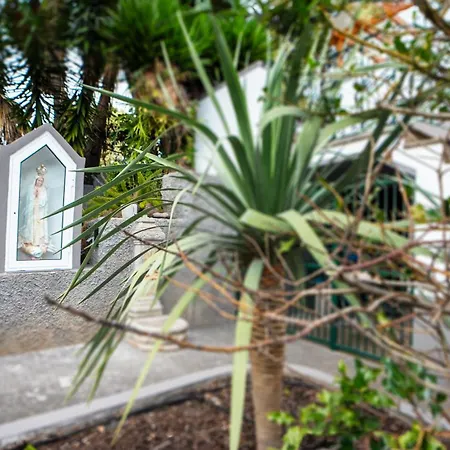 Amaro Oasis By Lovelystay Tatil Evi Funchal